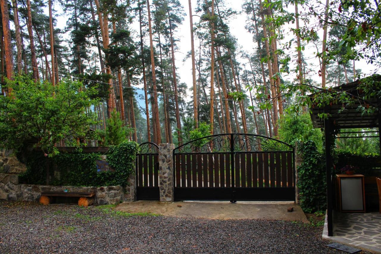Guest House On Meskheti Borzsomi Kültér fotó