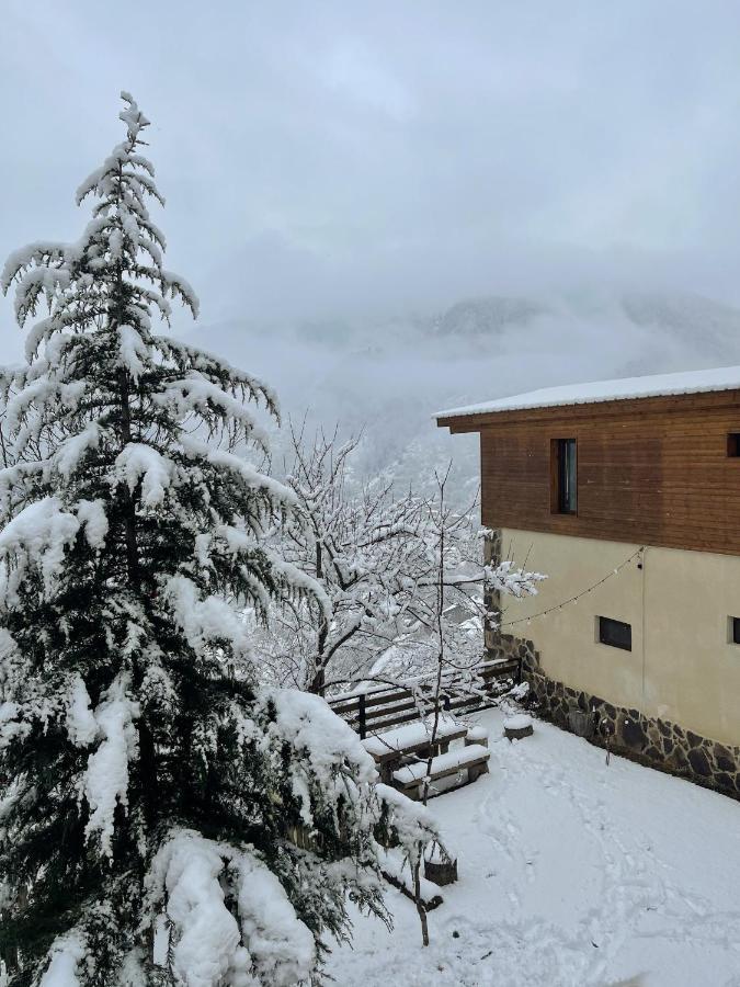 Guest House On Meskheti Borzsomi Kültér fotó