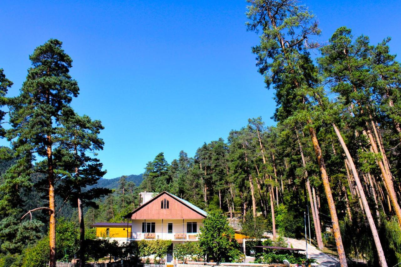 Guest House On Meskheti Borzsomi Kültér fotó